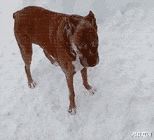 人生重开模拟器|王者荣耀是微信区水平高,还是qq区水平高?网友:我觉得你在引战。