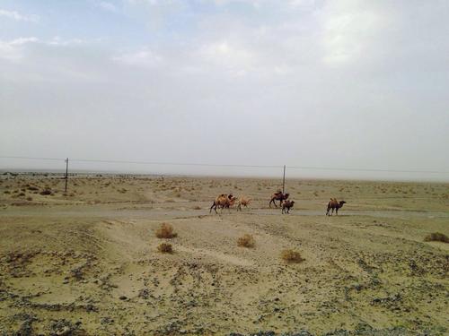 地球终极“魔鬼之域”罗布泊解密，是人类探险的最后一块乐土
