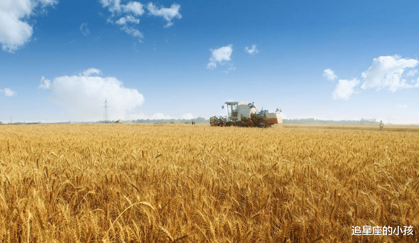 追星座的小孩|12星座各自的性格大全，句句经典，熟悉这些，让我们更好地做朋友