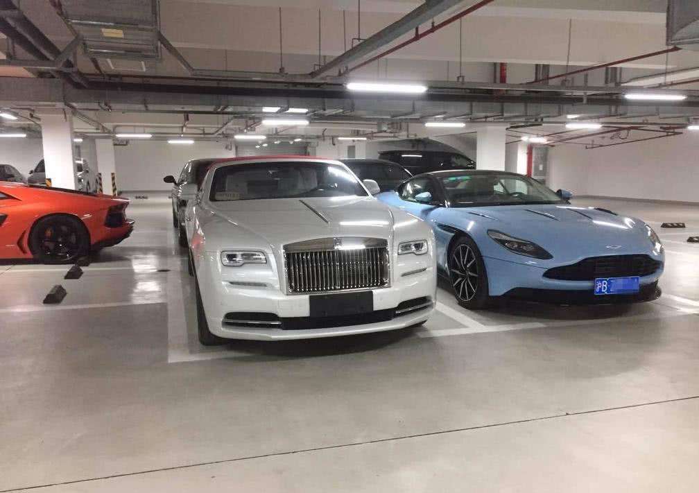 顶级富豪的生活是怎样的?拉布拉多都有属于自己的公寓,真开眼了