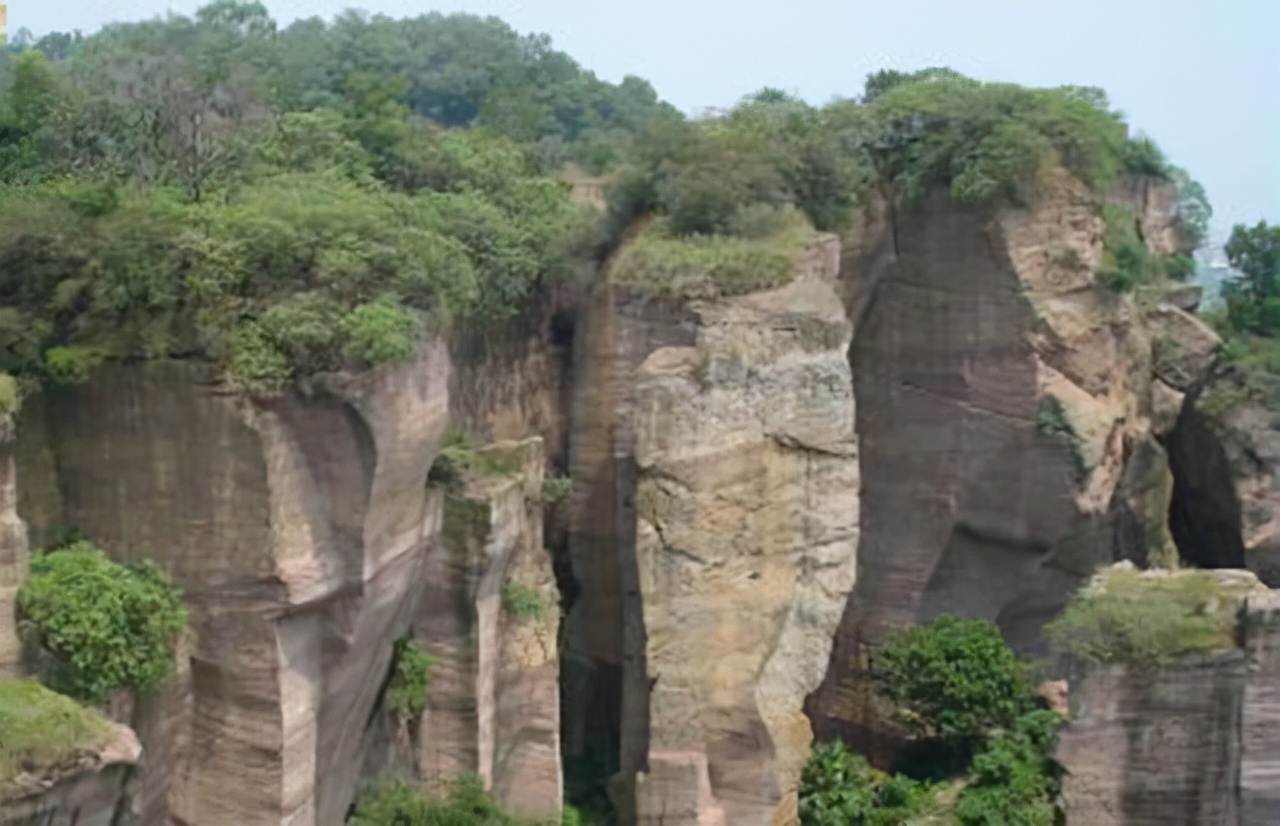 秦怡|1966年秦怡被诊断为肠癌，面对出轨的丈夫苦笑：为了孩子