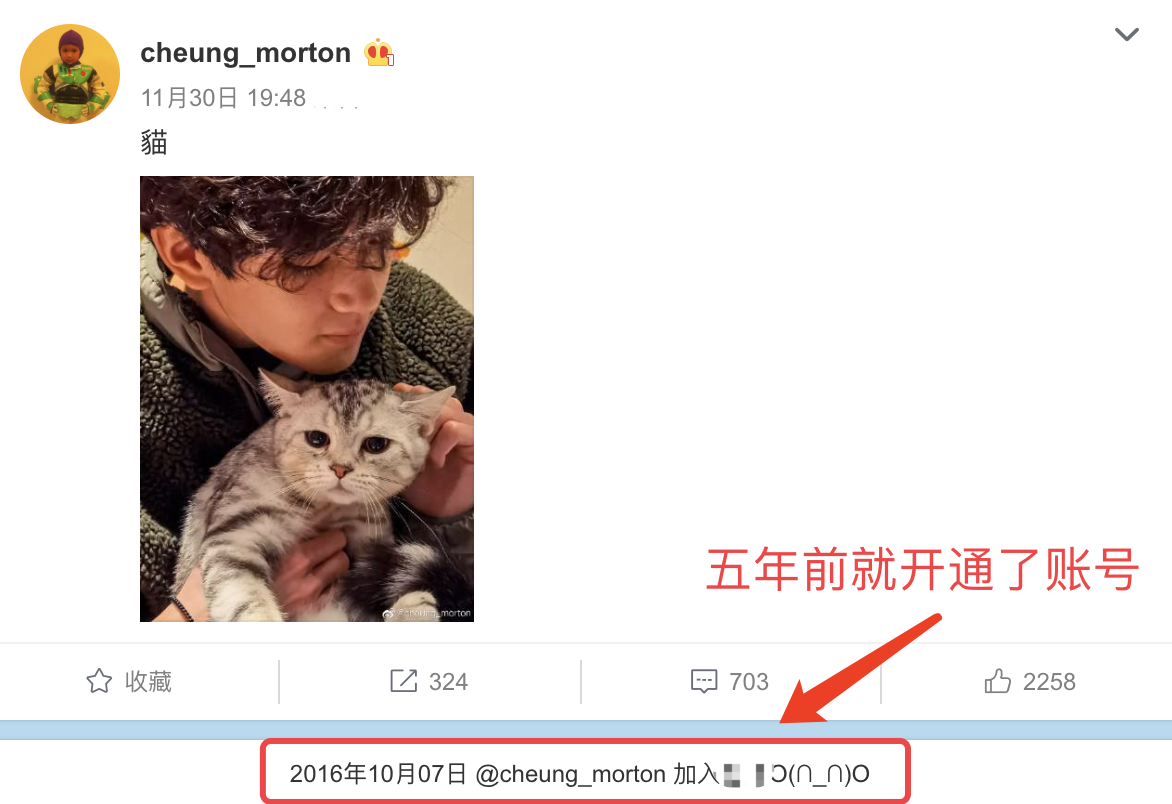 费曼|张智霖儿子晒撸猫日常，魔童眼神温柔颜值高，费曼留言梦幻联动