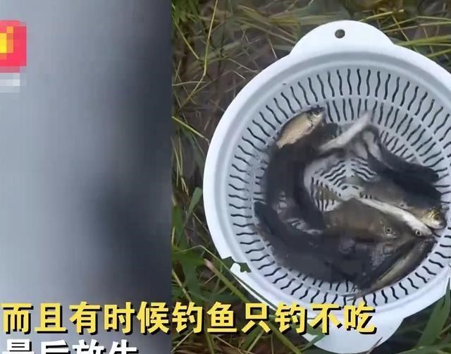 江苏省|江苏一男子冒倾盆大雨钓鱼,纹丝不动,妻子:钓上来还放回去