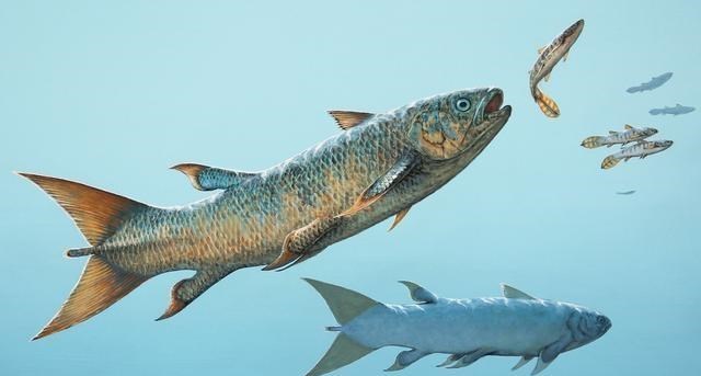  多个迹象表明第六次大灭绝已经来临？这真不是在开玩笑