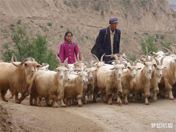 大学|孙女高考成绩47分,爷爷含泪请求复查考卷,成绩公开后却令人动容