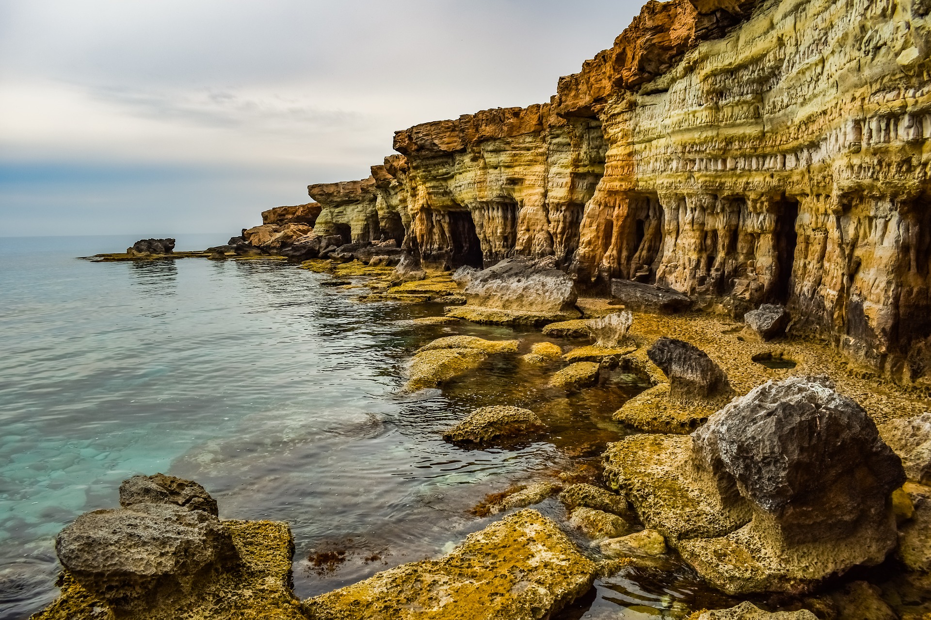饵料|老钓友四季钓罗非鱼经验总结