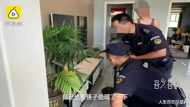 花钱买罪受,男子网购盆栽1个月后钻出10多条蛇,孩子被当场吓哭