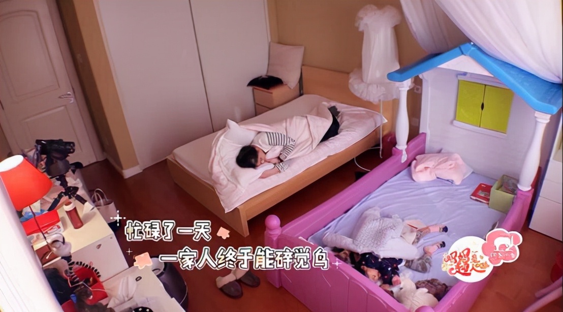 家居中队长 女明星梅婷公开家居生活,看过才知道,生活中的她好幸福!