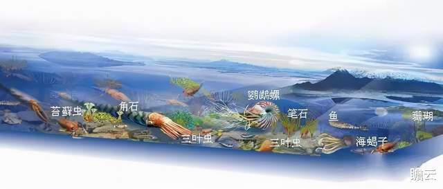 进化论是谎言?寒武纪生命大爆发,证明人类是上帝创造的?