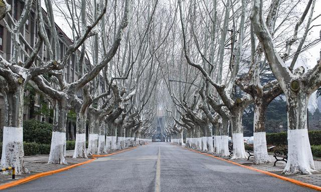 阿里巴巴|选专业要避开这3大热门专业，发展前景低，考生和家长要注意了