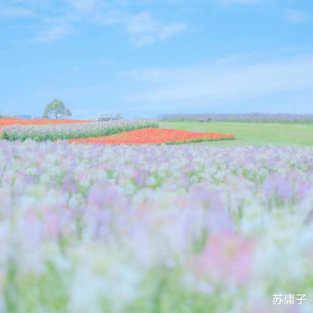 苏庸子 两性情感:聪明男人,都用这2招来“搞定”女人