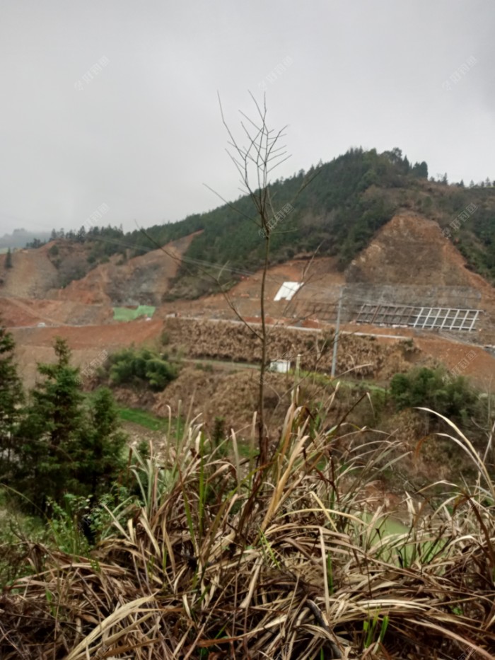 新安江|续钓新安江，找对鱼层增鱼获