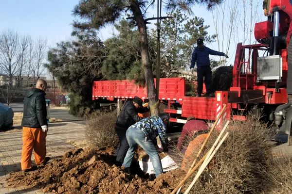 山海关区融媒体中心 山海关区：“三措并举”推进城市绿化