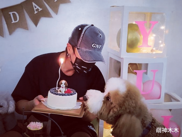 罗志祥|罗志祥借狗炫富惹争议,拍照背景全是大牌包,过个生日餐食都定制