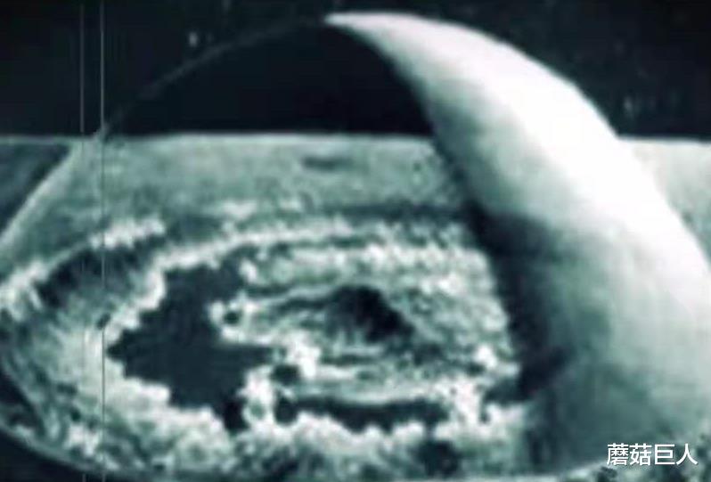 托卡马克 是仪器失灵或者花了眼，月球上的“奇怪防护罩”，难道人类又“幻视”了？