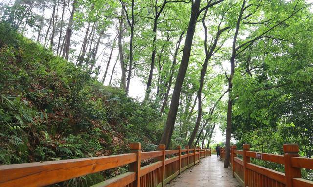 张红玉玉说三农 认识柳州百里侗乡三江县，就从月亮街开始，鼓楼、风雨桥一个不少