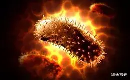 狂犬病 9岁男孩被狗舔一下就狂犬病发作去世？关于狂犬病你还误解多少？