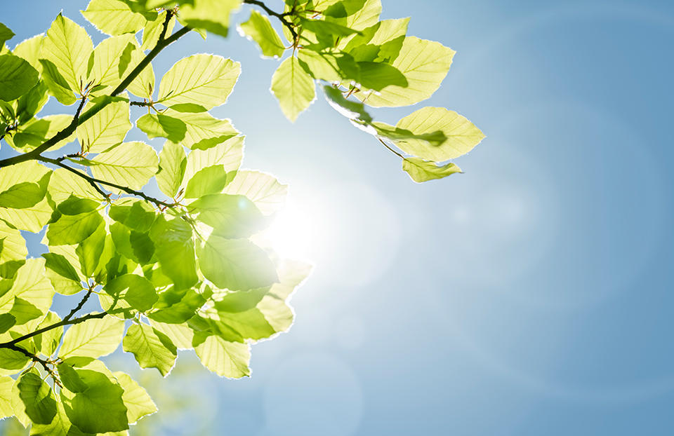 肝脏|晒太阳能长头发!这些方法也可以促进头发生长