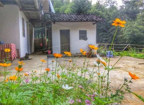 舜网 老家翻新，却在祖屋里搞出来一个“大家伙”！专家：属于上等的古董！