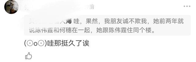 何穗|陈伟霆何穗疑似恋情曝光，二人交往时间被扒，男方情史丰富女方曾有短暂婚姻