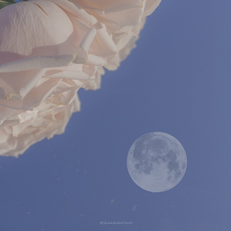 墨陌文案馆 白天有说有笑，晚上睡个好觉, 不会烂大街的高质量文案