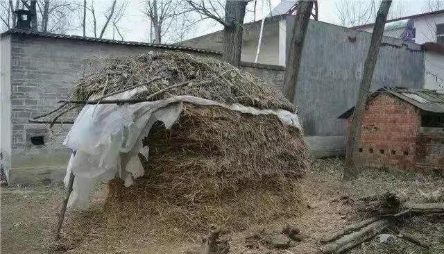 凉凉|火得快，凉得也快？张同学也难逃“魔咒”？农村人：他已犯了大忌