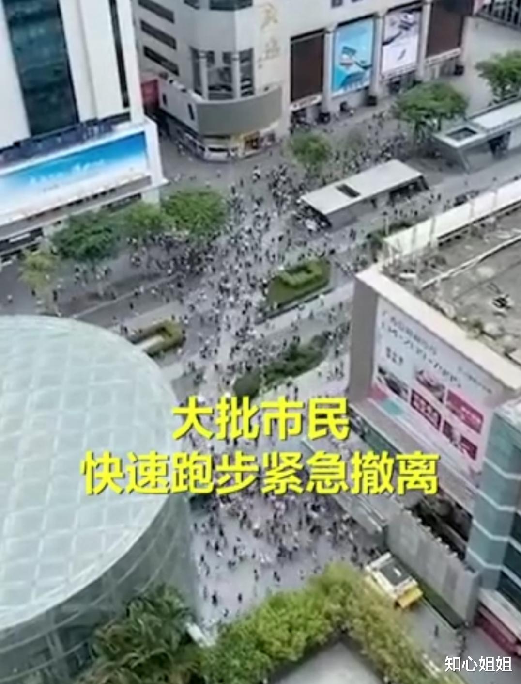 莲花山公园 福田:莲花山公园湖面出现大量死鱼,华强北赛格大楼出现不明晃动