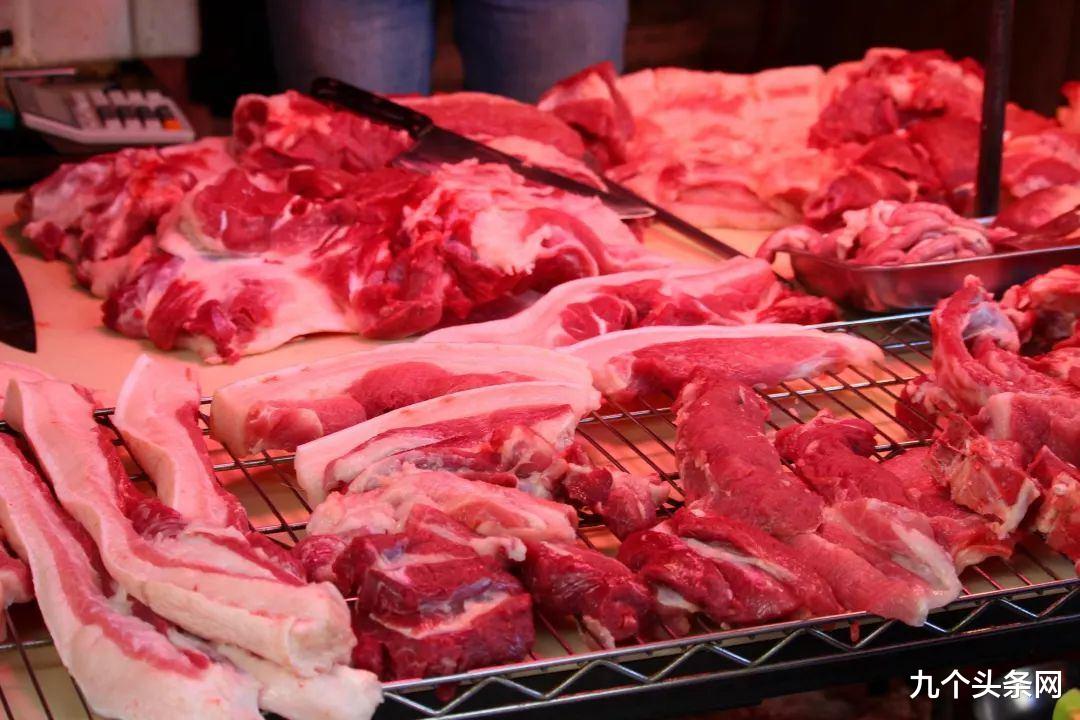九个头条网 养猪赚钱的时代已过？猪肉价格不断下跌，养猪企业净利润惨跌90%