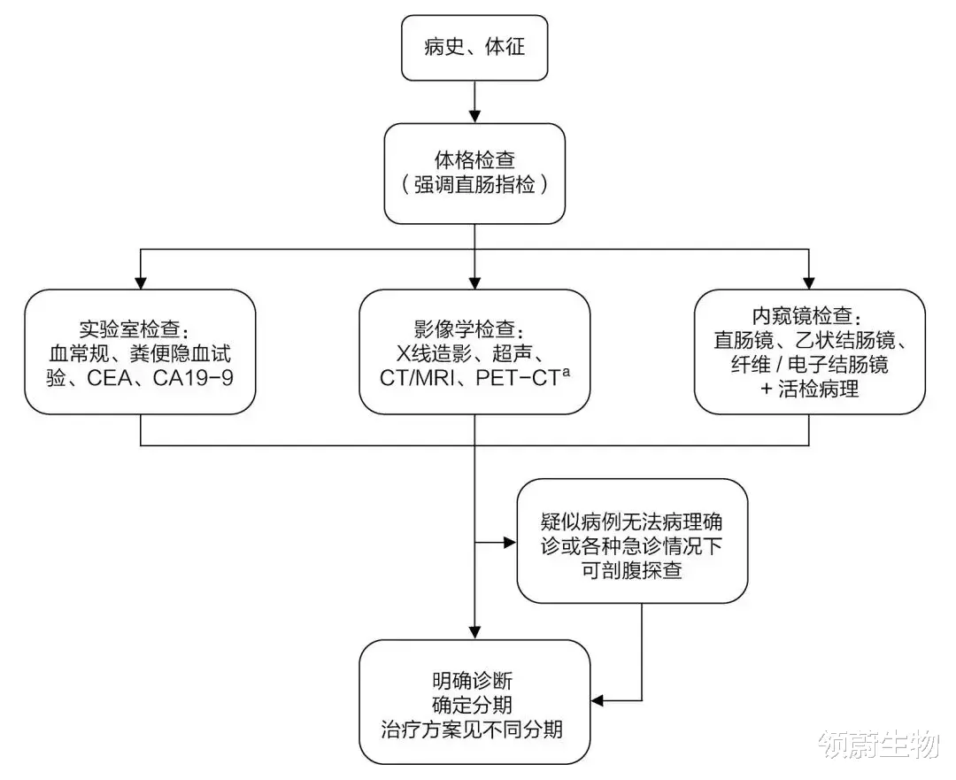 领蔚生物 最全结直肠癌诊疗流程图，只此一篇值得收藏！