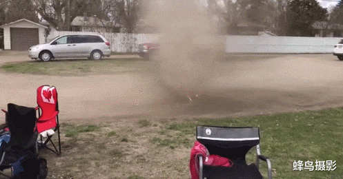 海豹 44张活久未见的照片，驴居然叼着一只狼，大白鲨撞飞海豹跃出水面捕食