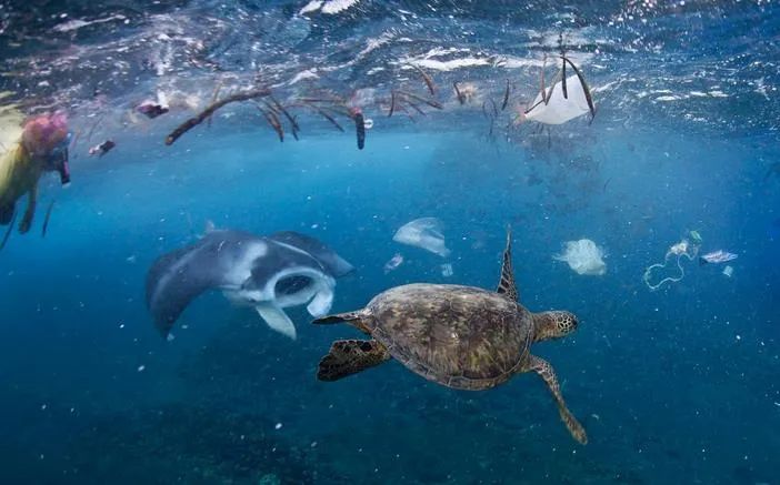 黄渤|“出轨门”12小时后，黄渤深夜「捡垃圾」视频被曝光：原来我们都错怪他了