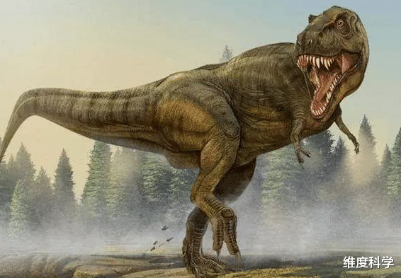 恐龙 最重可达100吨!侏罗纪时期的恐龙生物,是如何长这么大的?