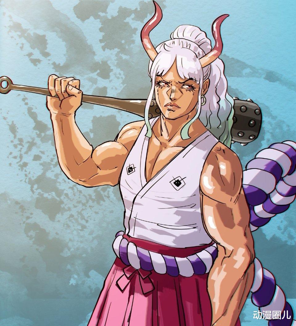娜美|海贼王：白发“娜美”露出真容让人失望，画师展现凯多真实儿子外貌！