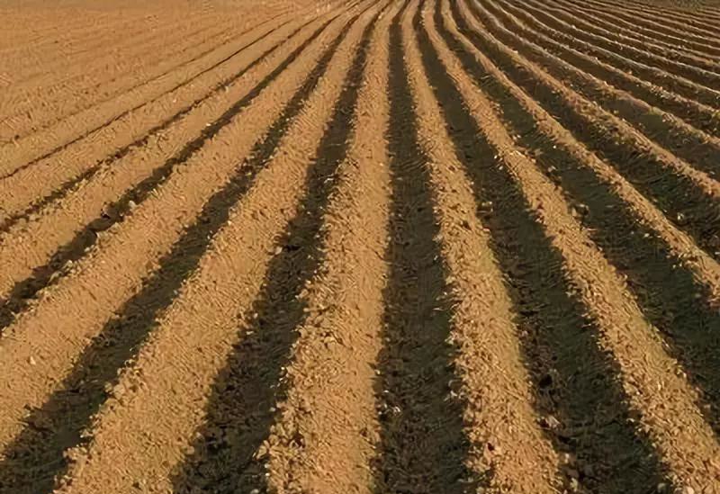 二甲双胍 土壤检测该如何采样才能减少误差呢?