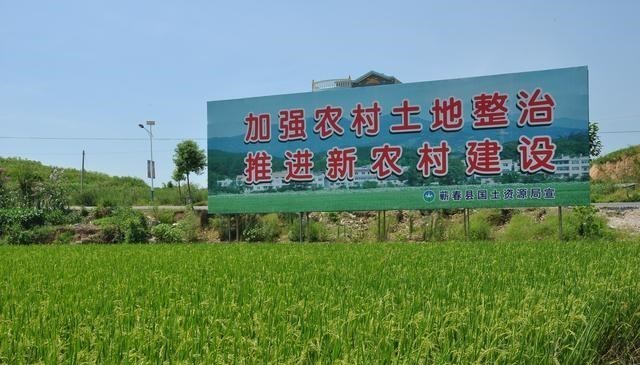 梵恩诗伊宁哥|8月起执行最严耕地保护政策,这3件事农民需重视,2类土地要回收