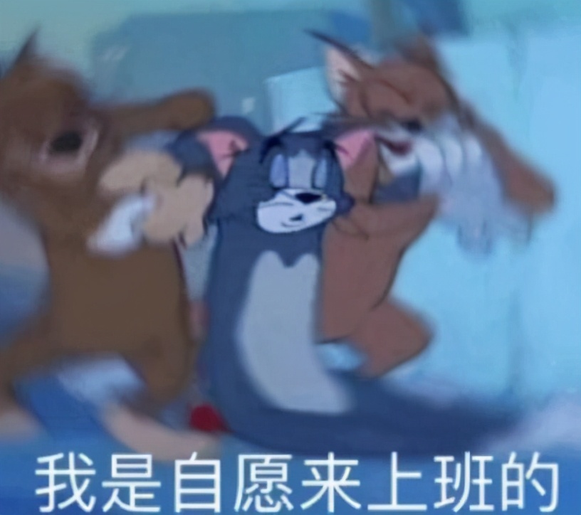 刘小胖趣谈 神回复：哪些东西你以为很贵，其实很便宜？一开口就是老打工人了