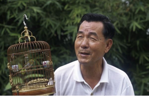 医生|脑梗的“加速器”被找到,医生提醒:这些“汤汤水水”尽量少喝