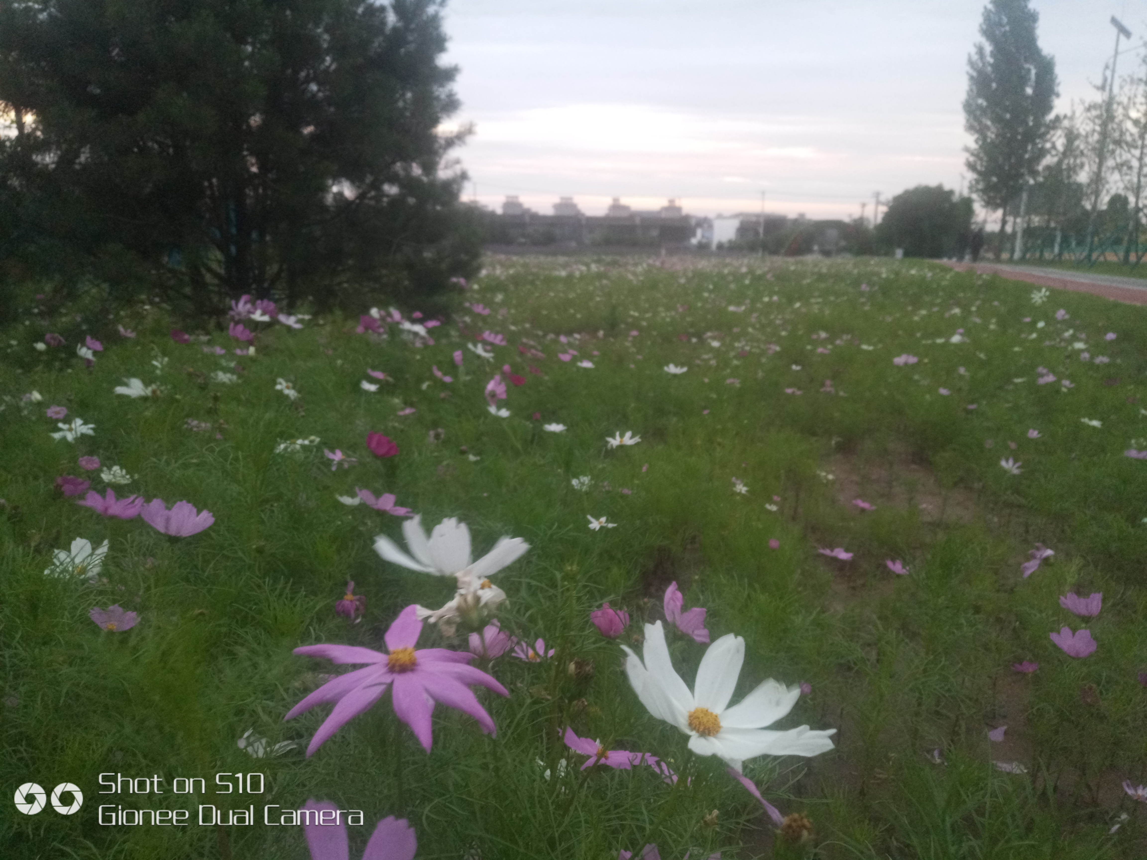 爱我们的生活|请原谅我这次任性