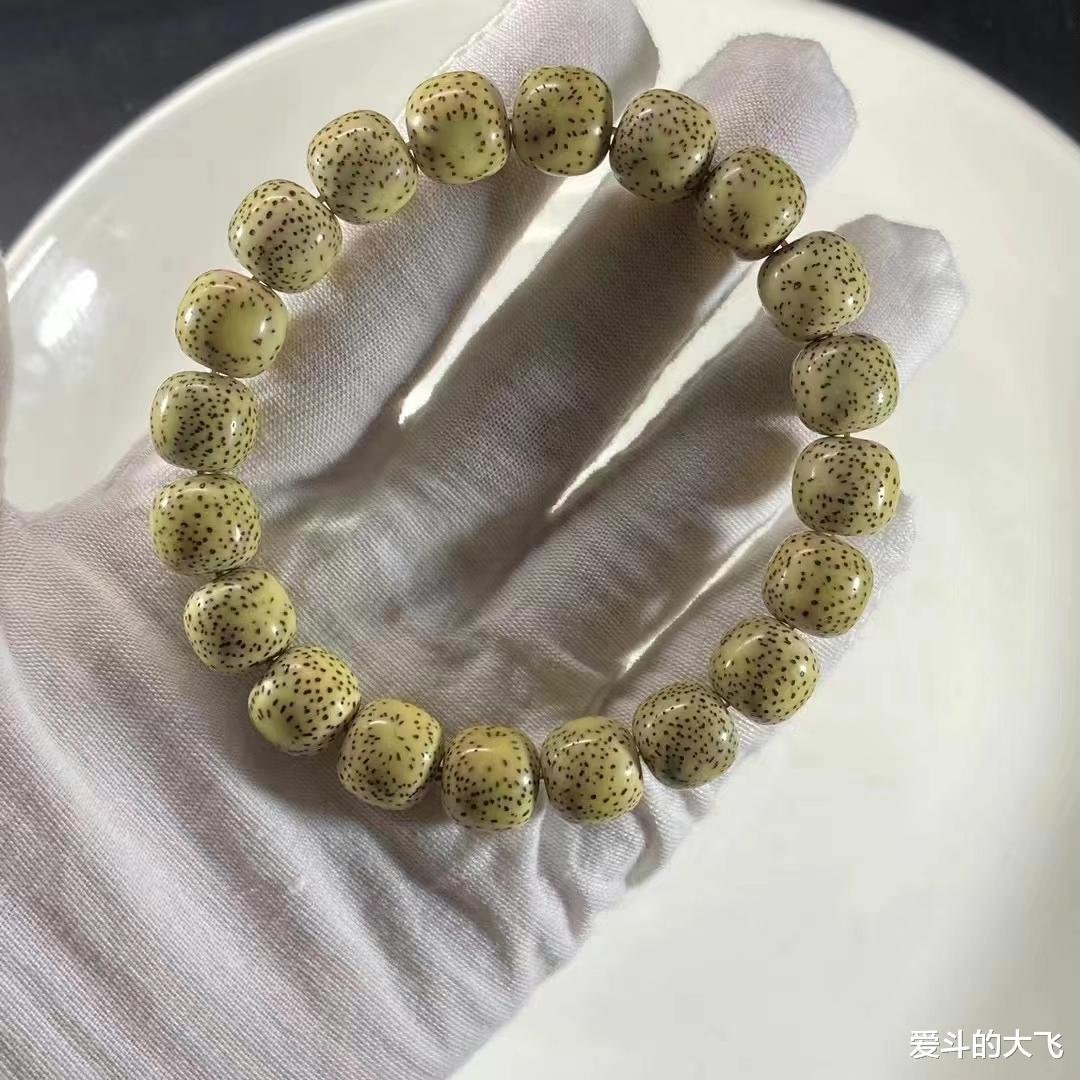 艺术品|玩星月菩提的朋友请进，文玩新人星月菩提解析