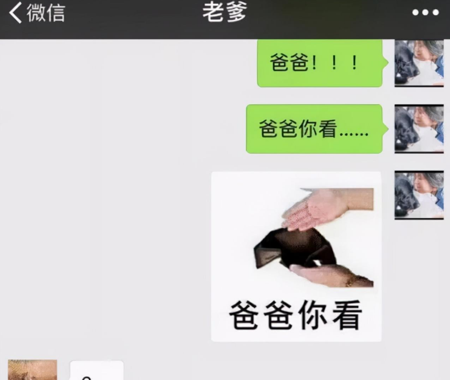 大树说教育|大学生花式讨要生活费：小螃蟹没“钳”了，最后父母的回复亮了