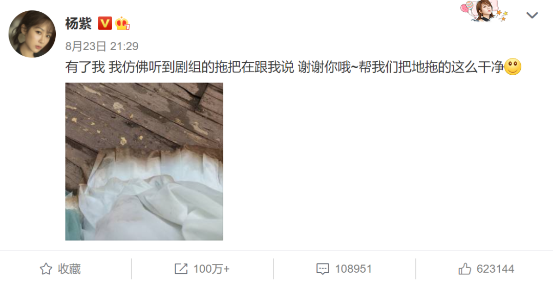 杨紫|“自毁前程，杨紫可惜了”
