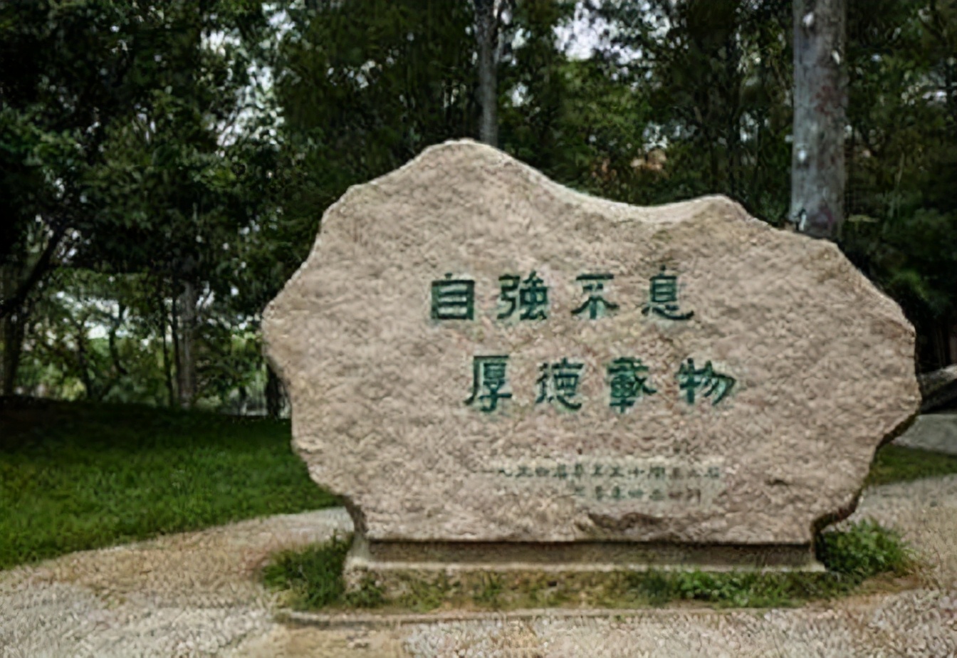 清华大学|戚柯：636分考上清华大学，毕业6年后，却连自己都“养活”不了