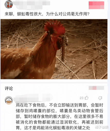 为什么蜈蚣毒性很大,却对公鸡毫无作用呢?真的是知识盲区啊