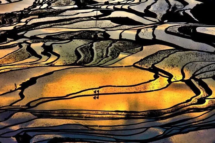 林芝 阳春三月，这6个中国最美的景点你都去过了吗