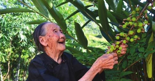 心脏|重大发现:决定人寿命长短的不是吃和运动