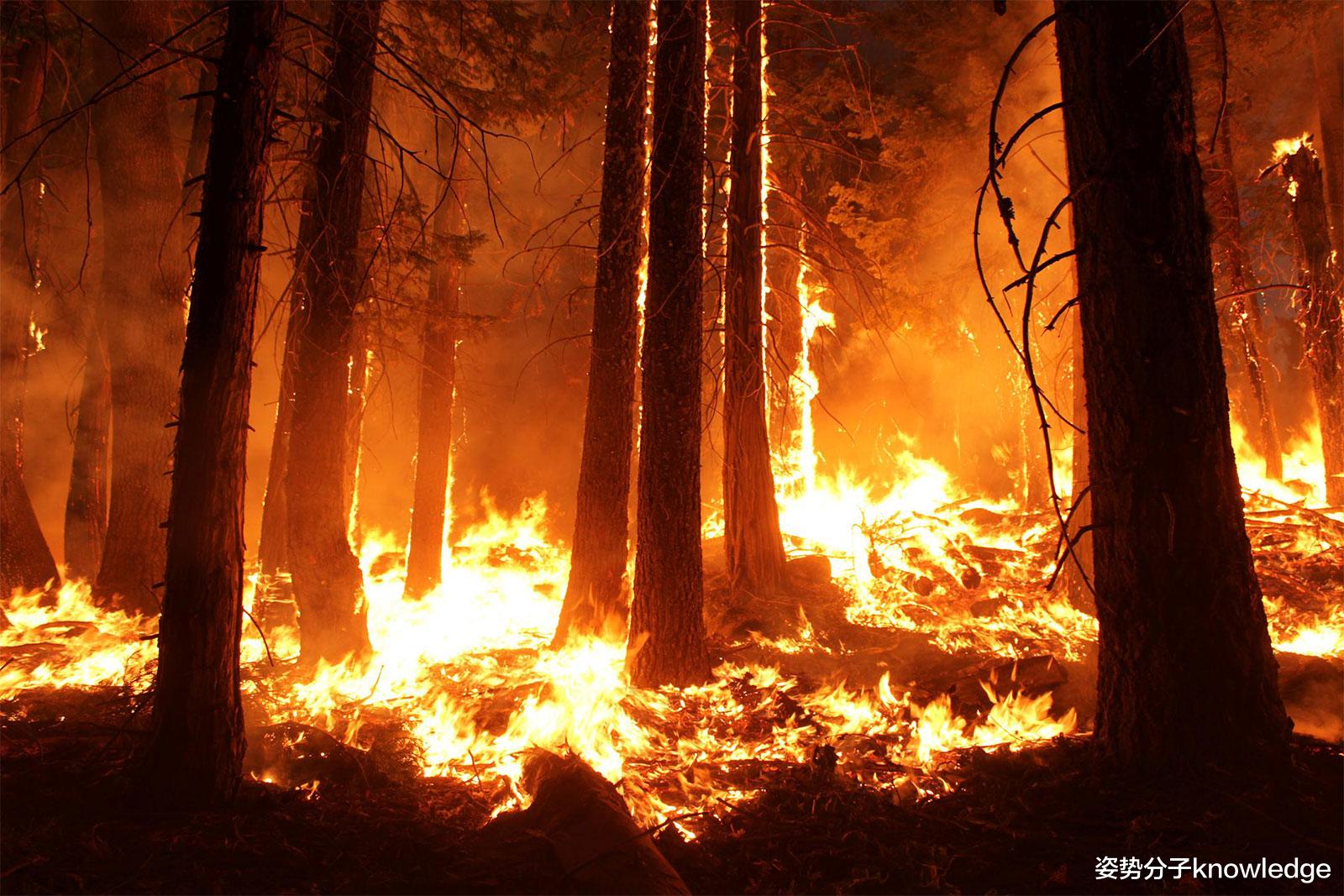神经元 绝大部分化石燃料都要削减使用？若不控制，地球升温恐将突破阈值