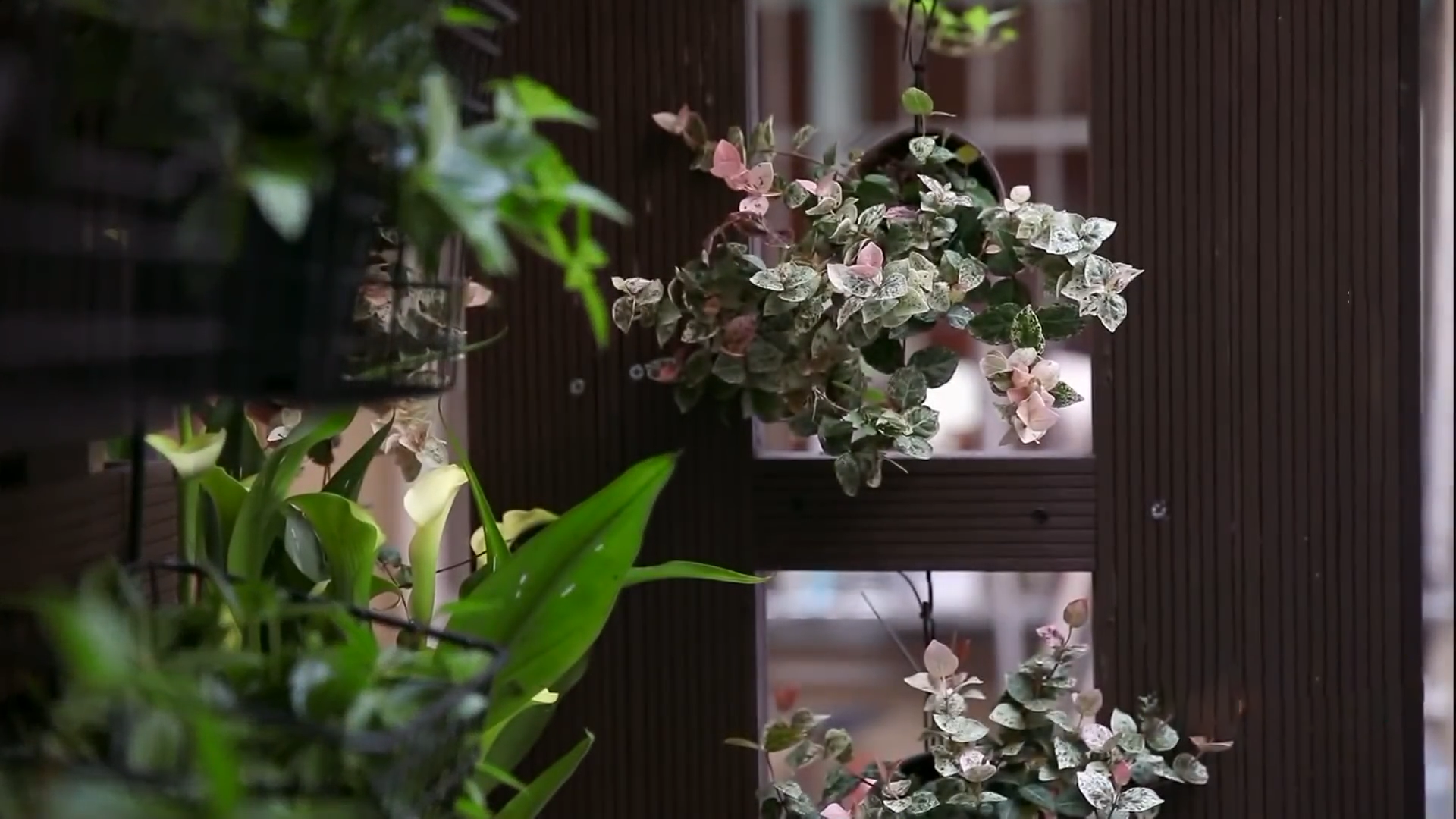 11㎡蜗居做婚房，因床太小，情侣无法玩翻身抱，未婚妻气到想悔婚