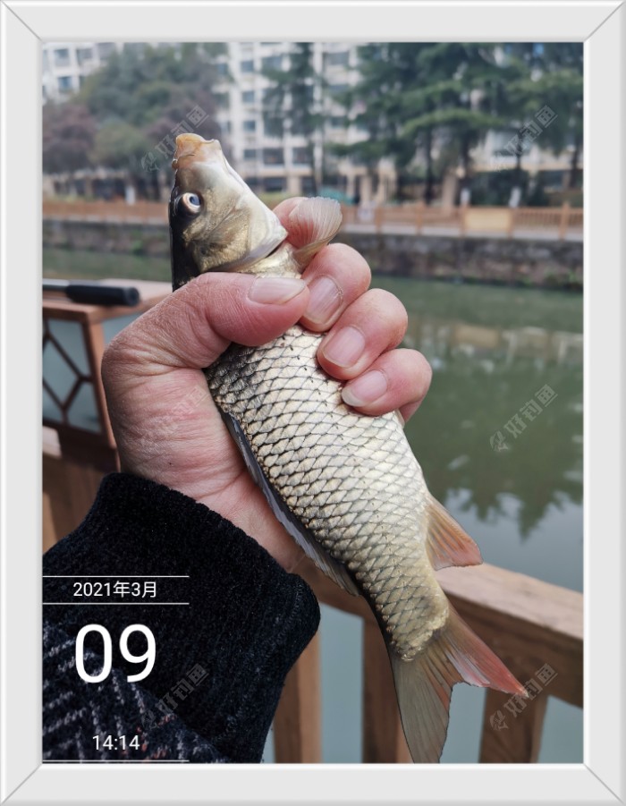 沙滩|早春同一窝点 不宜多次作钓