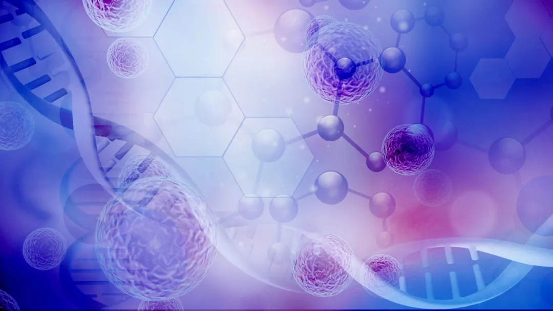 蜜蜂 经常吸氢气有什么好处?