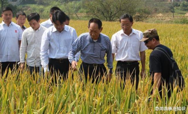 袁隆平|袁隆平一天上两次热搜,多么希望这个消息是假的!